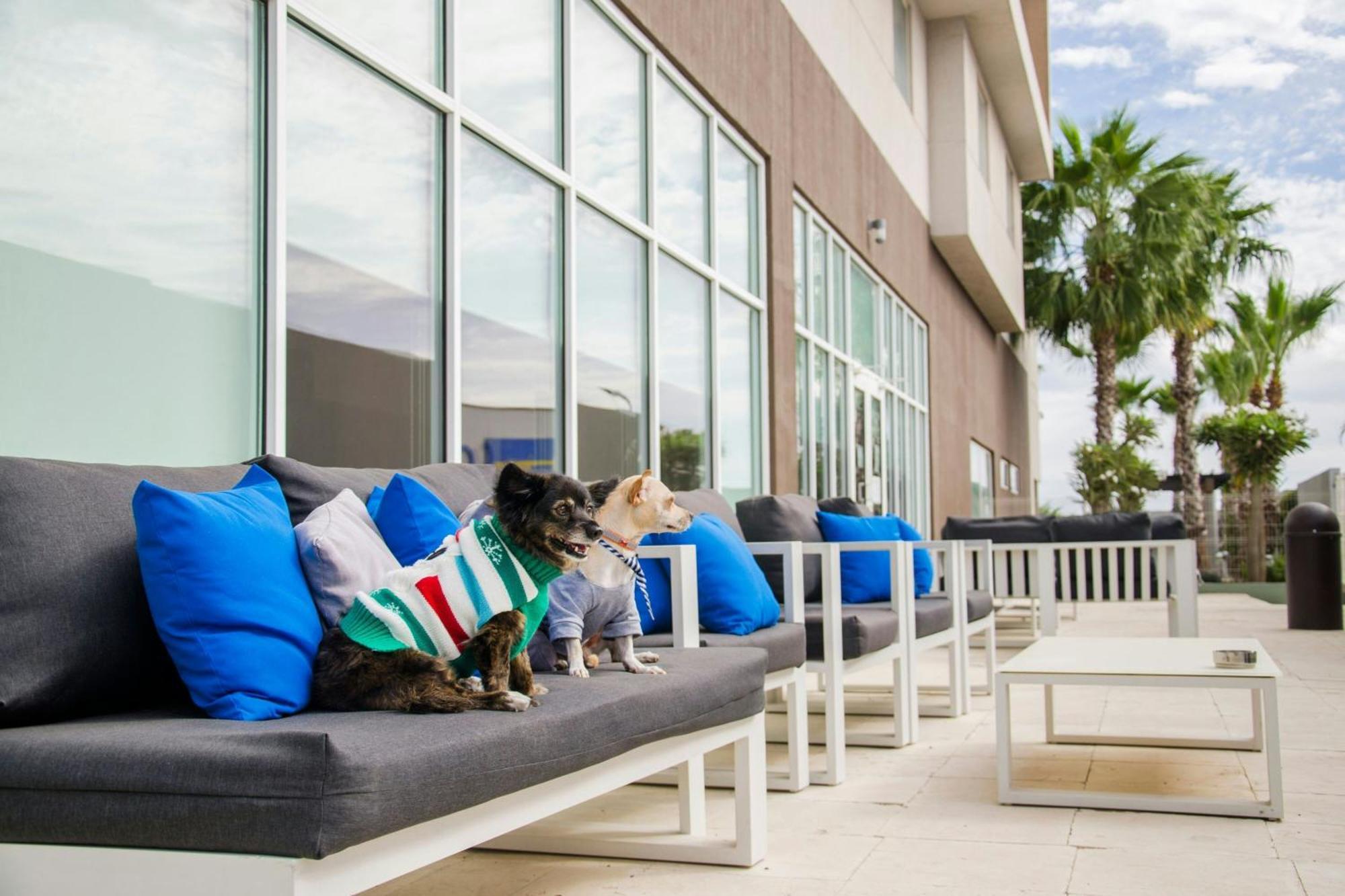 Courtyard By Marriott Hermosillo Bagian luar foto
